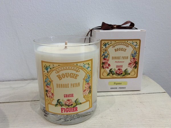 Scented candle Figue and Céder Wood